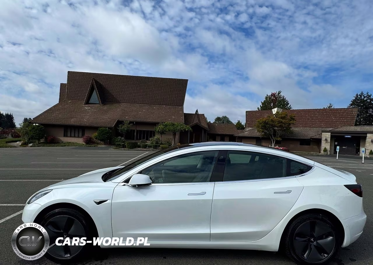 2020 Tesla Model 3 VIN:5YJ3E1EA9LF613004 - 12
