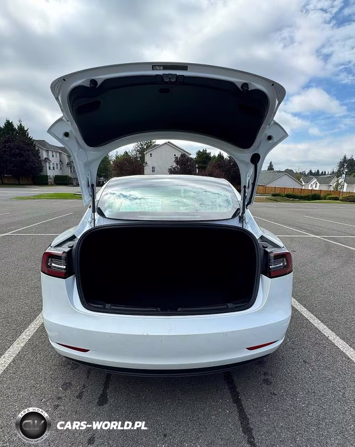 2020 Tesla Model 3 VIN:5YJ3E1EA9LF613004 - 13