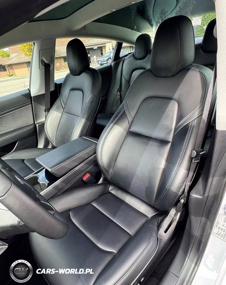 2020 Tesla Model 3 VIN:5YJ3E1EA9LF613004 - 14
