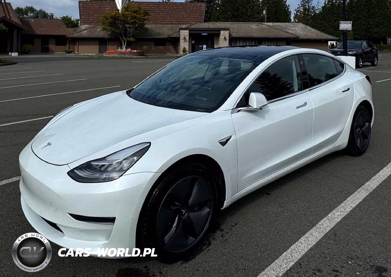 2020 Tesla Model 3 VIN:5YJ3E1EA9LF613004 - 2