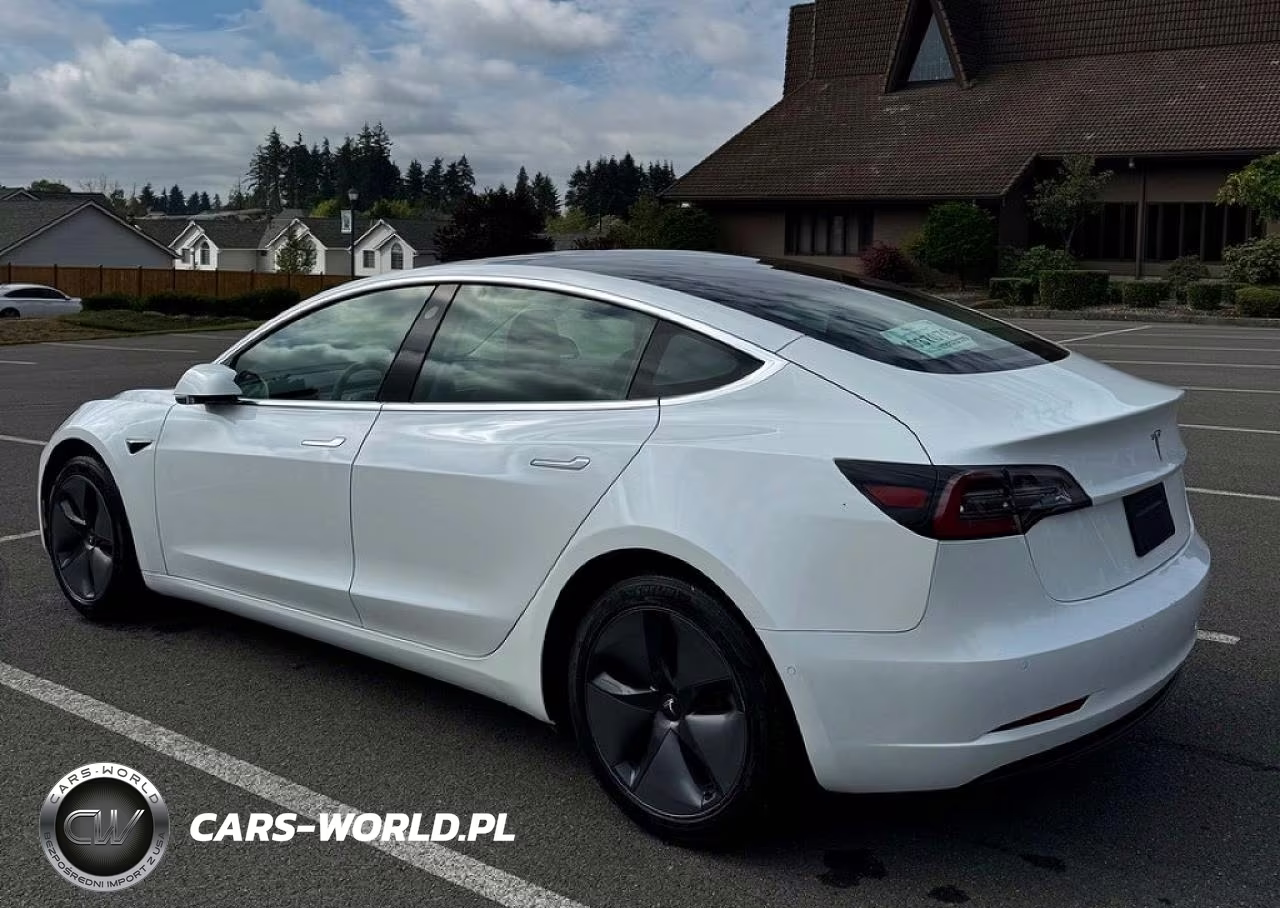 2020 Tesla Model 3 VIN:5YJ3E1EA9LF613004 - 3