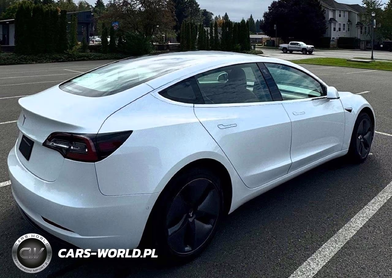 2020 Tesla Model 3 VIN:5YJ3E1EA9LF613004 - 4