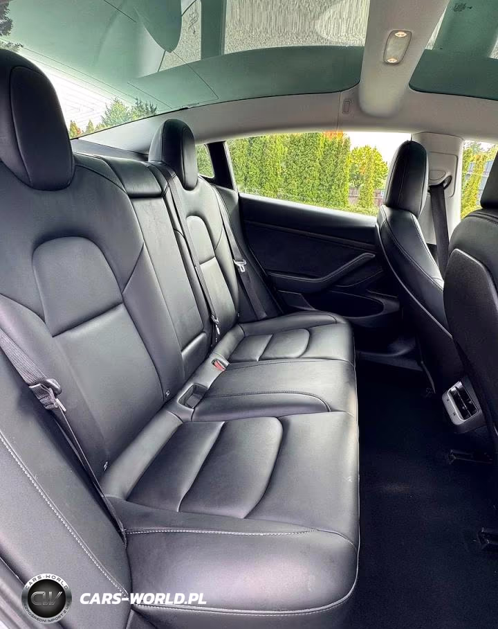 2020 Tesla Model 3 VIN:5YJ3E1EA9LF613004 - 6