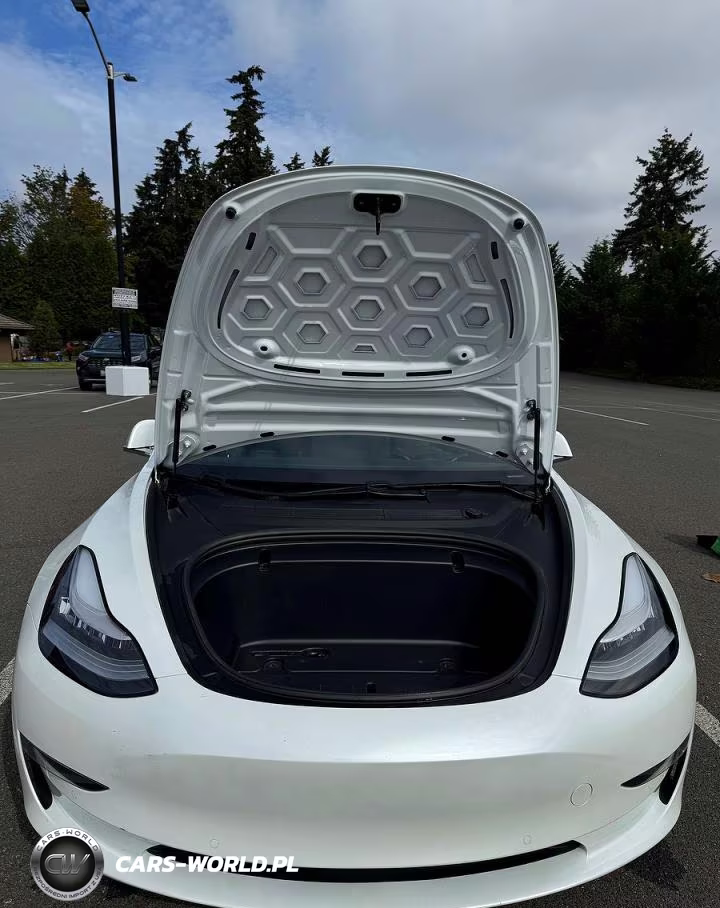 2020 Tesla Model 3 VIN:5YJ3E1EA9LF613004 - 7