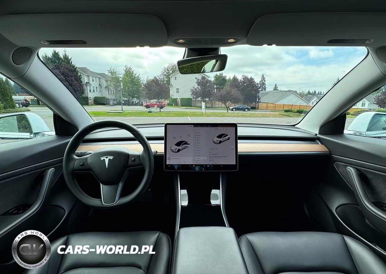 2020 Tesla Model 3 VIN:5YJ3E1EA9LF613004 - 9
