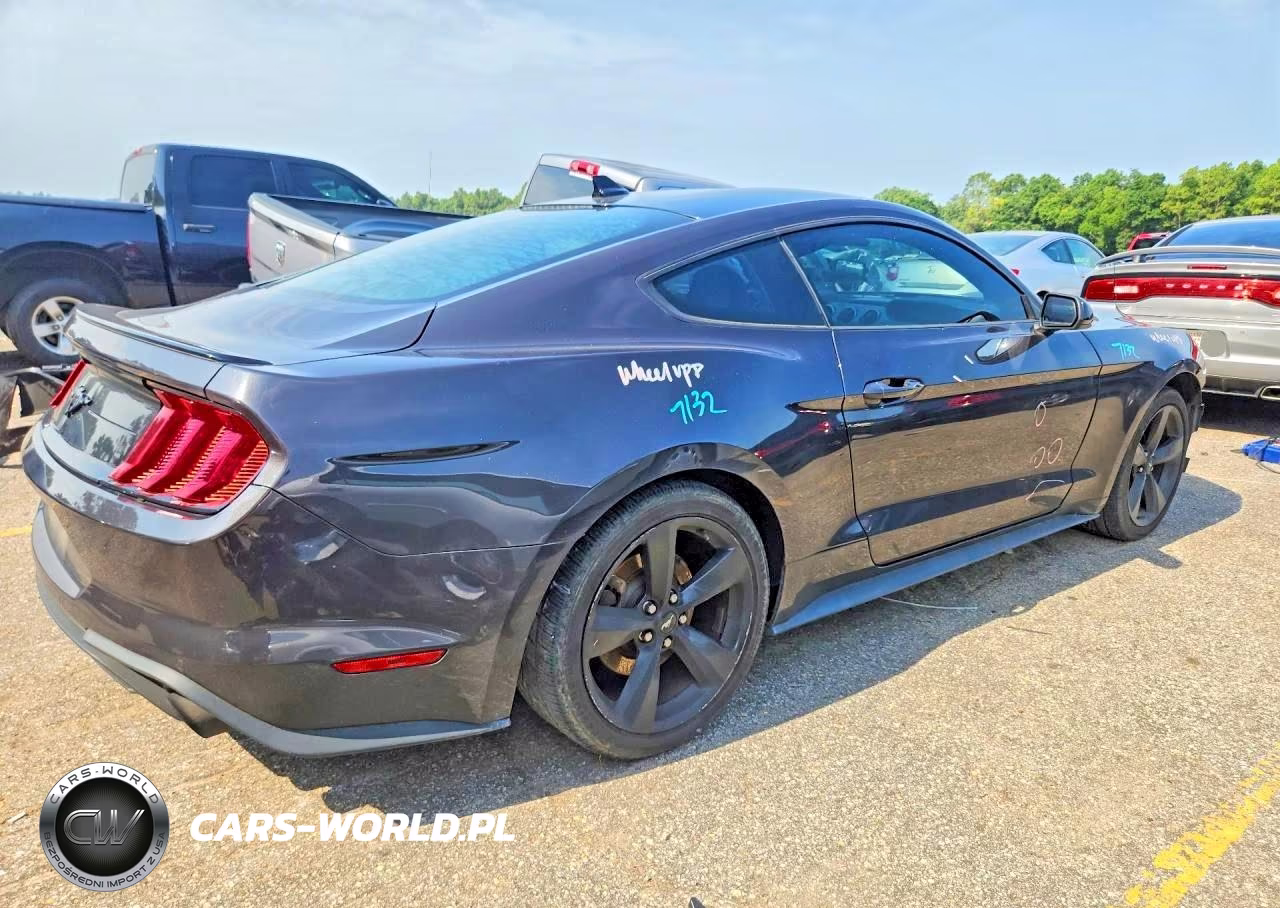 2022 Ford Mustang VIN:1FA6P8TH6N5135957 - 3