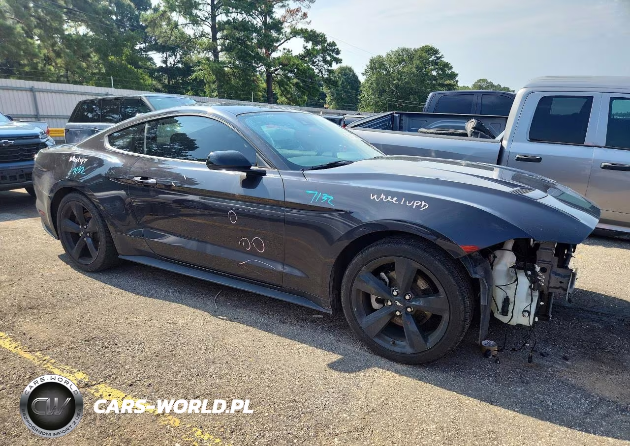 2022 Ford Mustang VIN:1FA6P8TH6N5135957 - 4