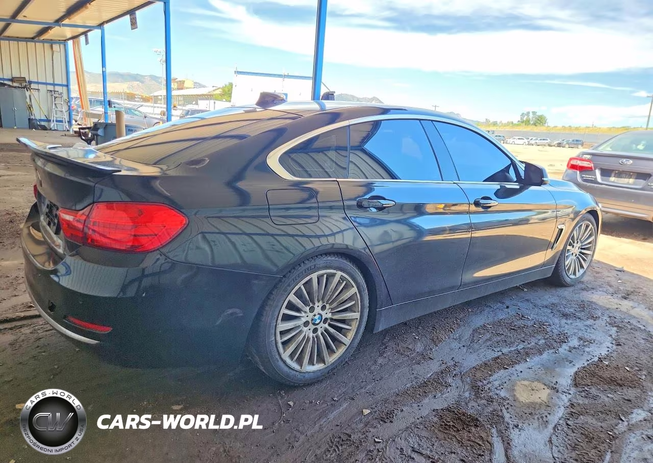 2015 BMW 428 Xi Gran Coupe VIN:WBA4A7C5XFD413251 - 3