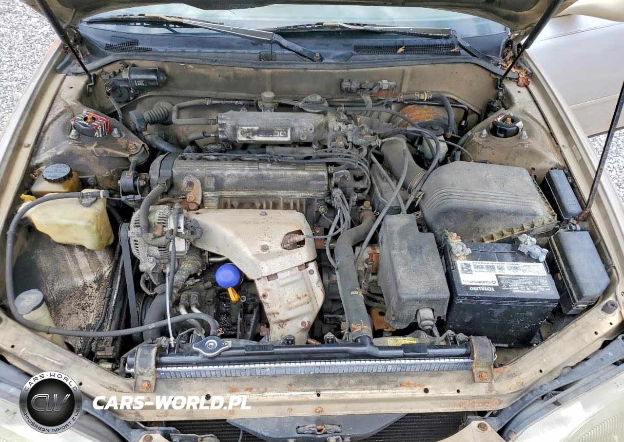1996 Toyota Camry Le VIN:4T1BG12K4TU686433 - 11