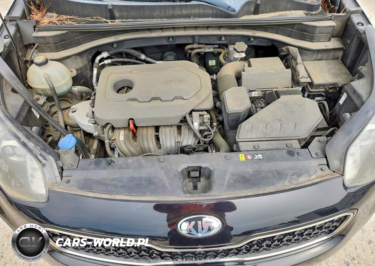 2017 Kia Sportage Lx VIN:KNDPMCAC0H7249513 - 11