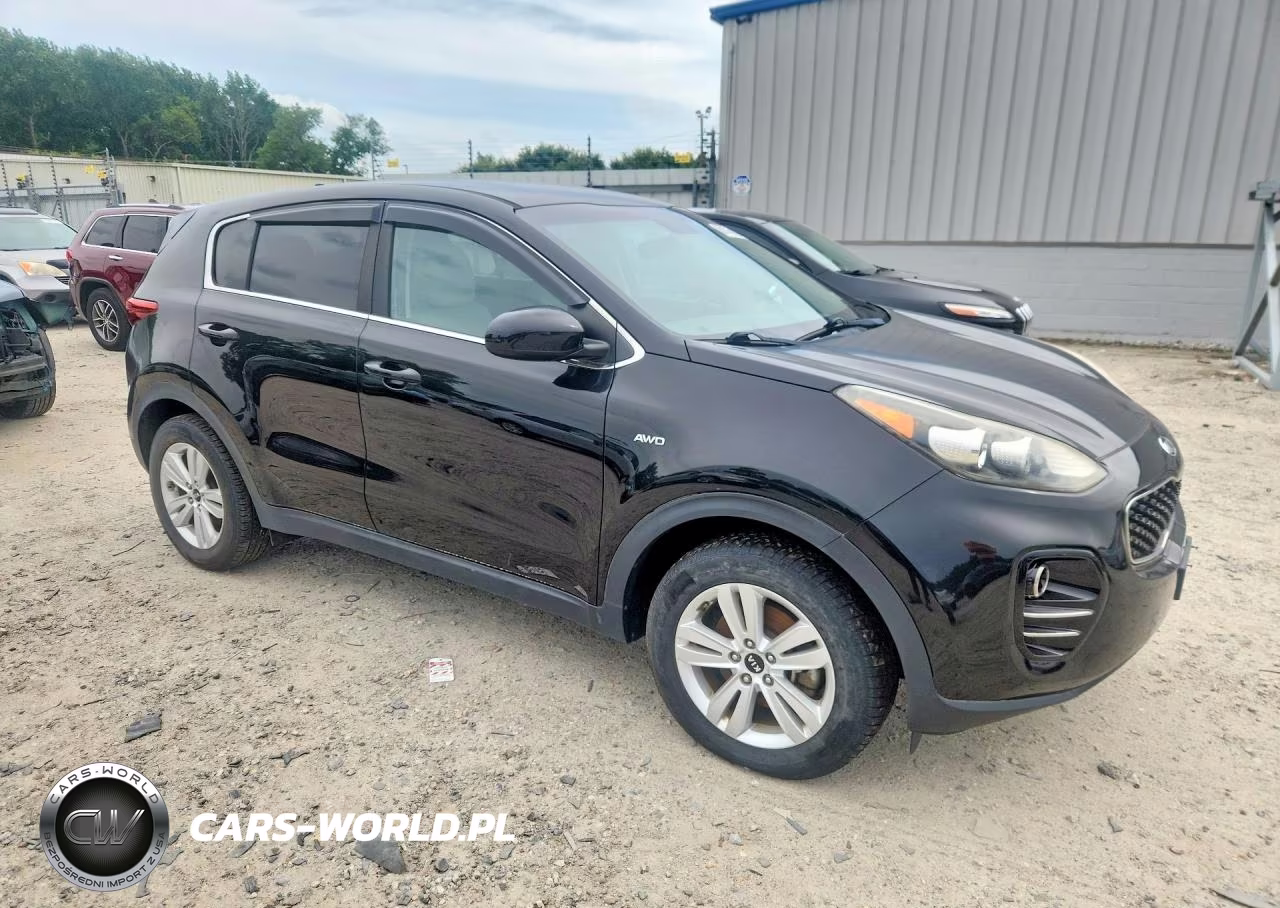 2017 Kia Sportage Lx VIN:KNDPMCAC0H7249513 - 4