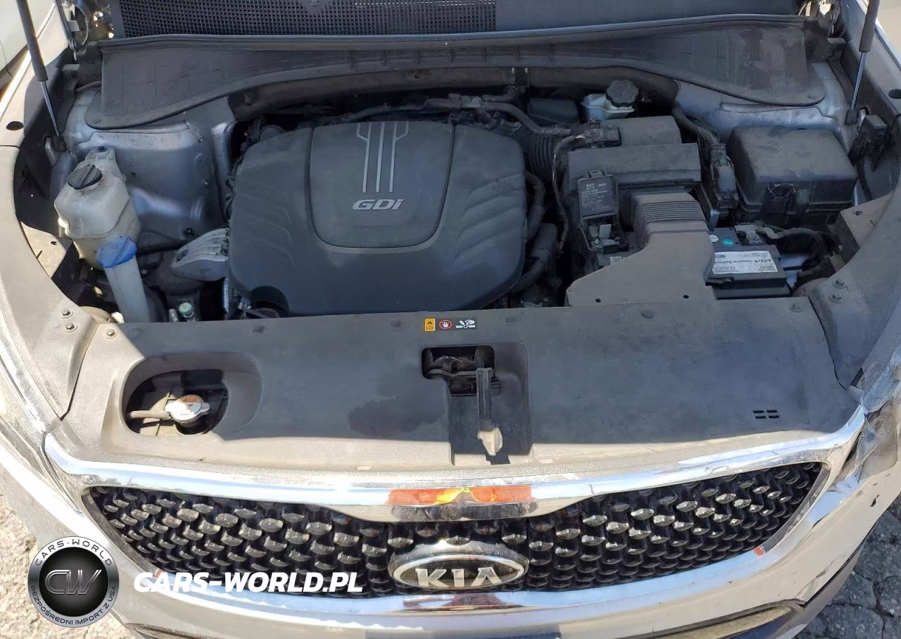 2017 Kia Sorento Ex VIN:5XYPH4A5XHG302927 - 12