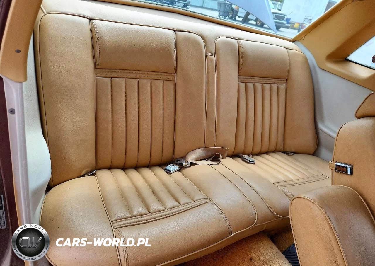 1976 Ford Granada VIN:6W84L215110 - 10