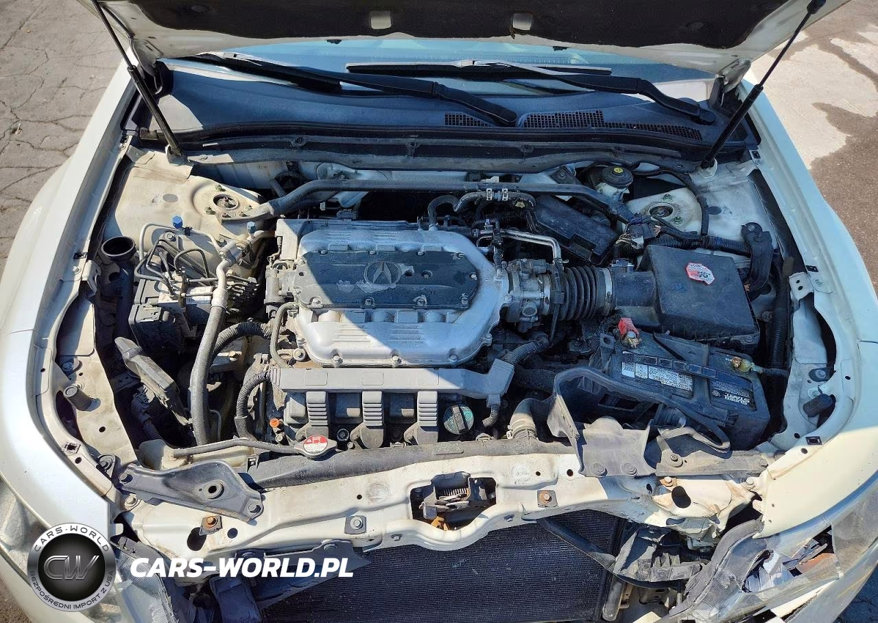 2010 Acura Tl VIN:19UUA8F52AA001552 - 11