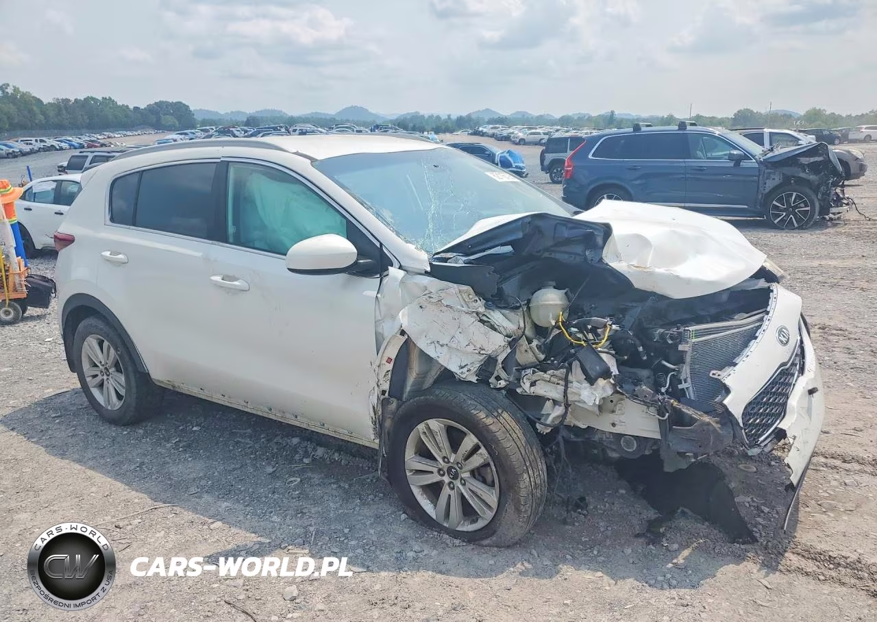 2017 Kia Sportage Lx VIN:KNDPMCAC3H7177786 - 4