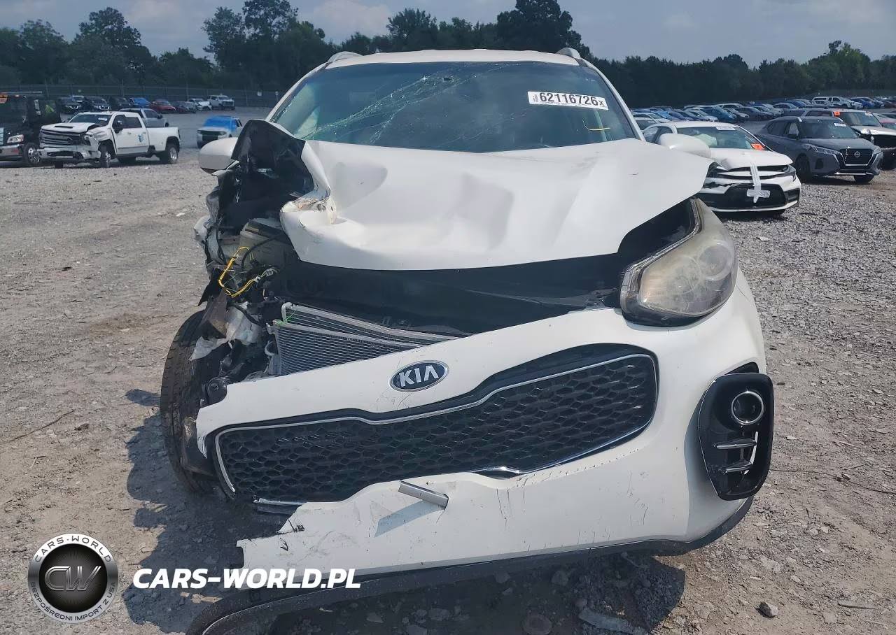 2017 Kia Sportage Lx VIN:KNDPMCAC3H7177786 - 5