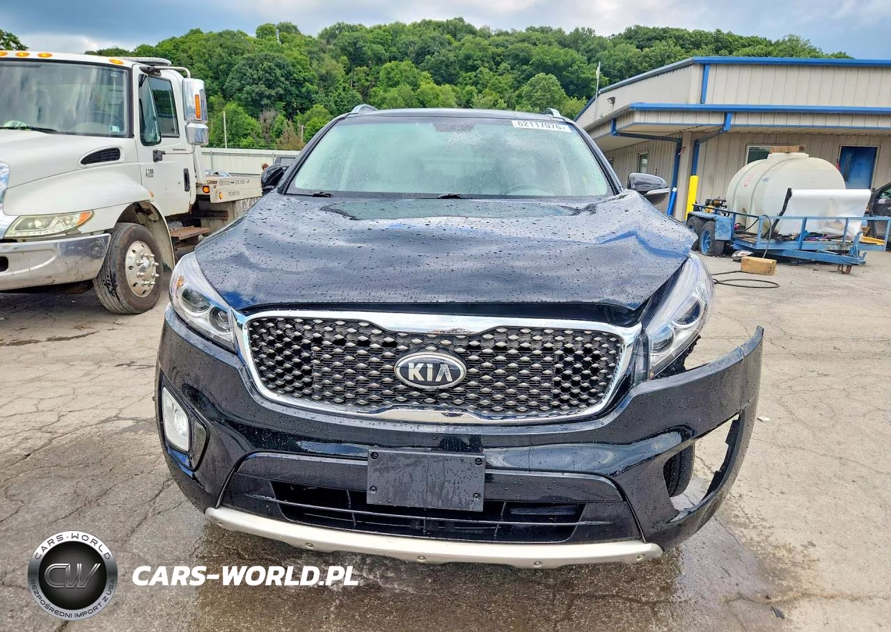 2016 Kia Sorento Sx V6 VIN:5XYPKDA53GG113777 - 5