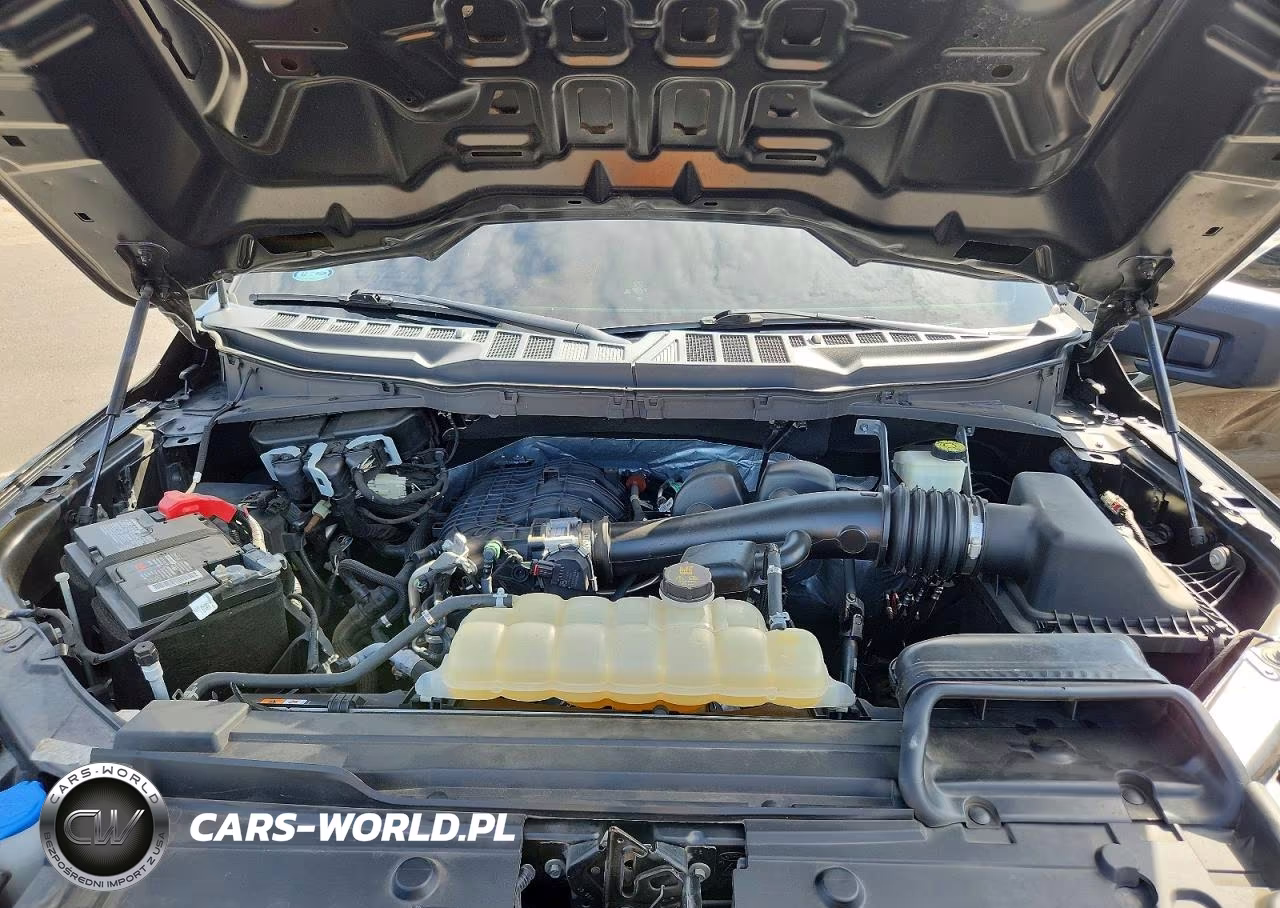 2021 Ford F150 VIN:1FTMF1CB5MKF09014 - 11