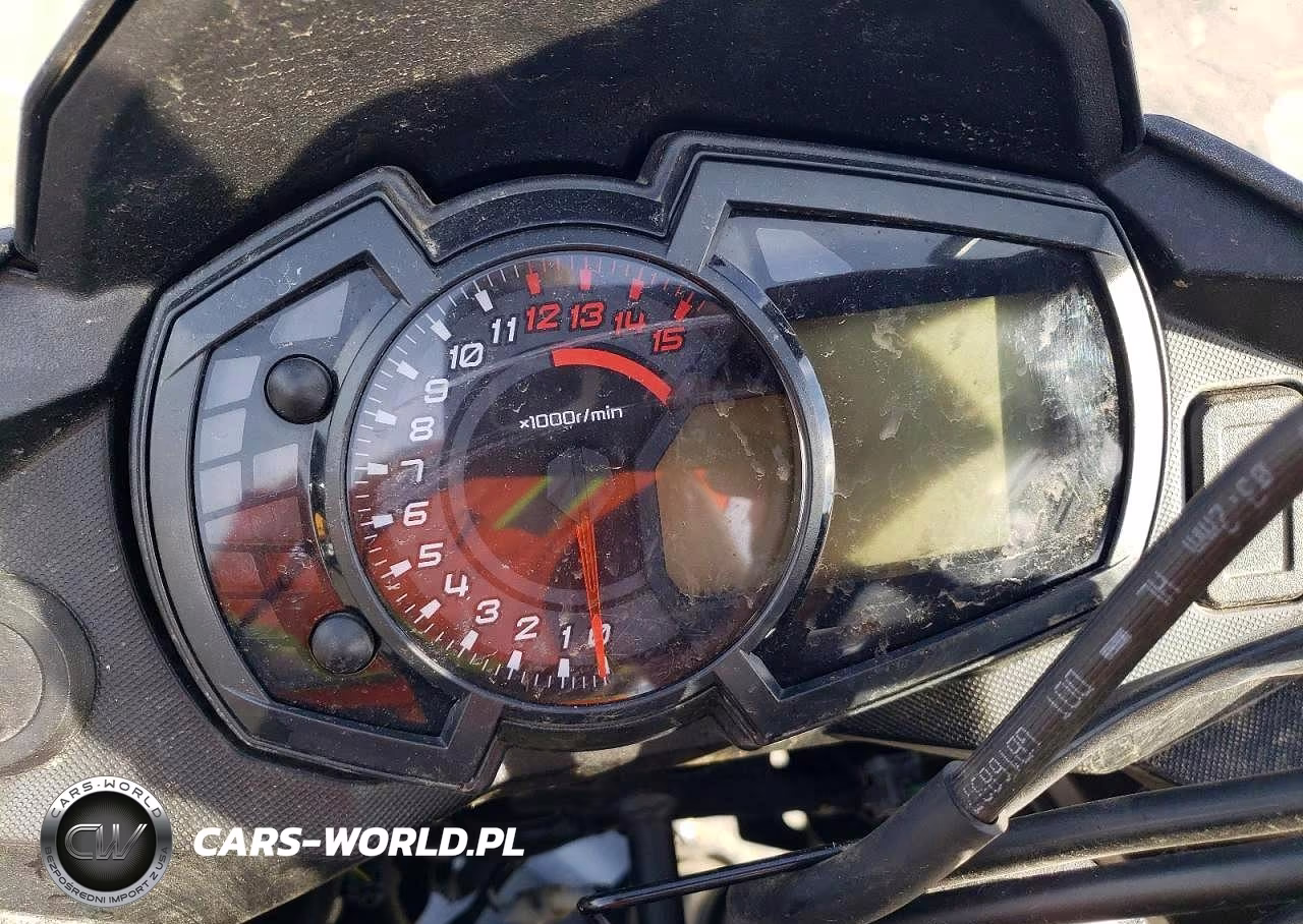 2024 Kawasaki Kle300 C VIN:JKALE8C13RDA18061 - 7