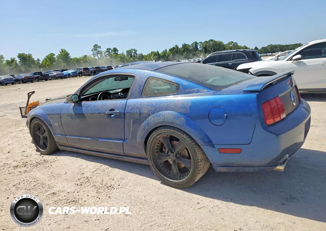 2007 Ford Mustang Gt VIN:1ZVFT82H775241891 - 2