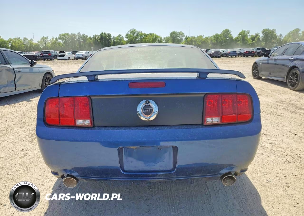 2007 Ford Mustang Gt VIN:1ZVFT82H775241891 - 6