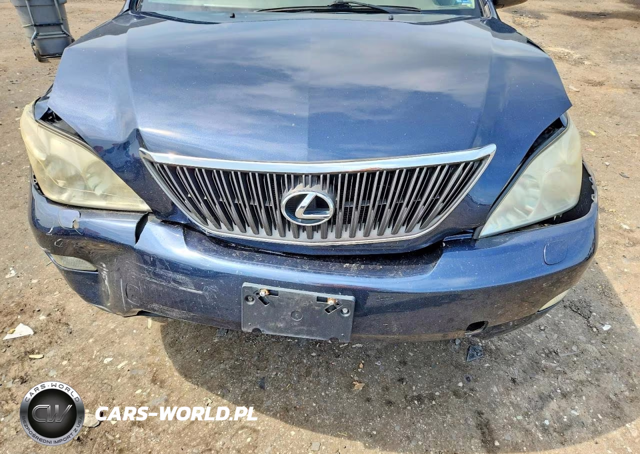 2004 Lexus Rx 330 VIN:2T2HA31U24C030076 - 12