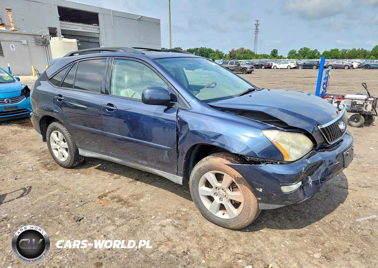 2004 Lexus Rx 330 VIN:2T2HA31U24C030076 - 4