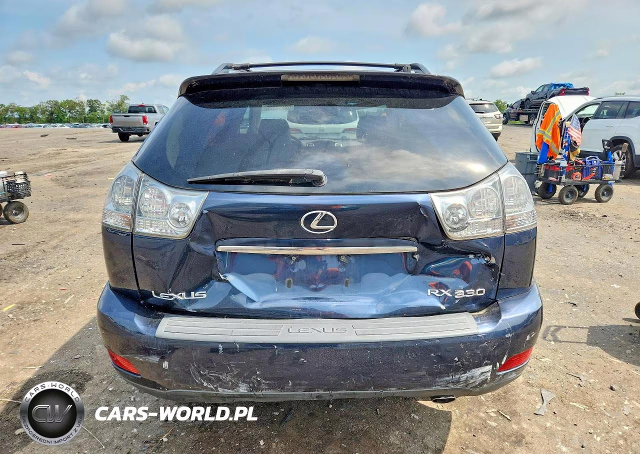 2004 Lexus Rx 330 VIN:2T2HA31U24C030076 - 6