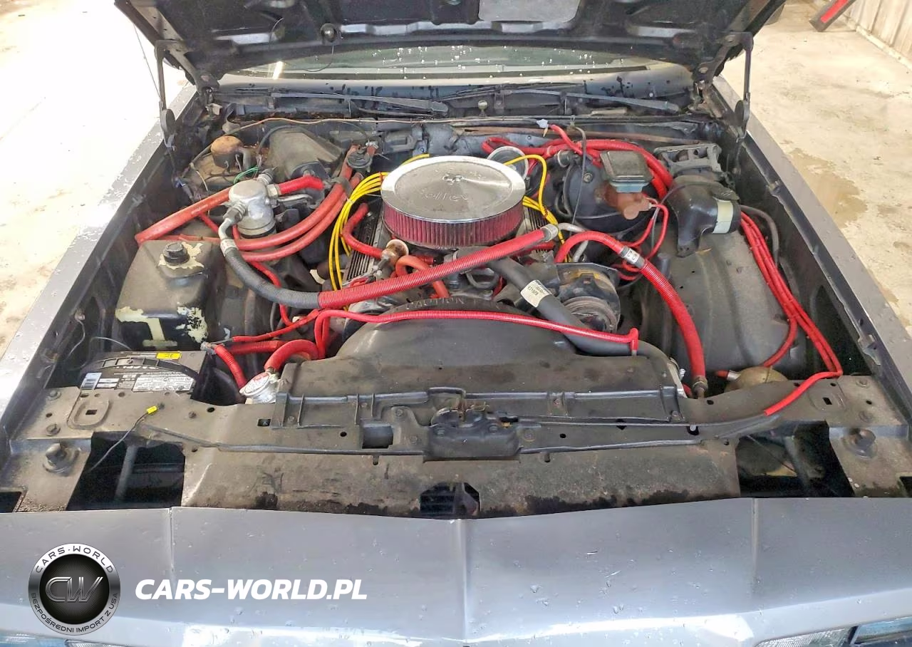 1986 Chevrolet Monte Carlo VIN:1G1GZ37G2GR165717 - 11