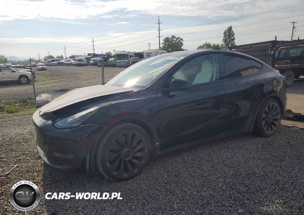 2023 Tesla Model Y VIN:7SAYGDEFXPF773608 - 1
