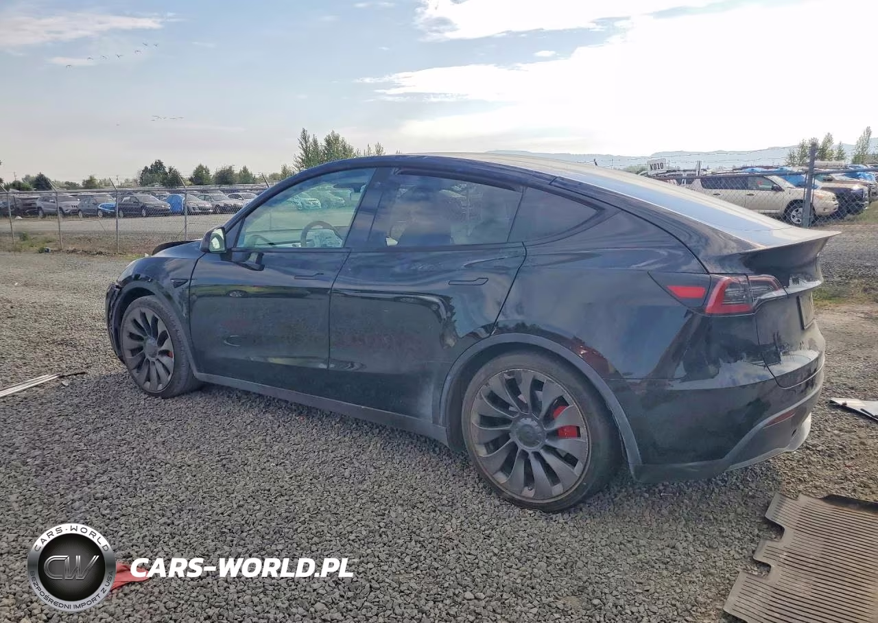 2023 Tesla Model Y VIN:7SAYGDEFXPF773608 - 2
