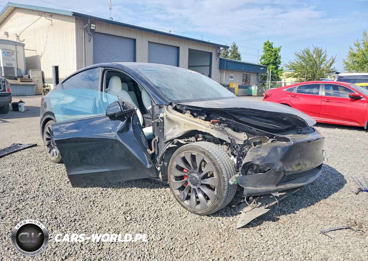 2023 Tesla Model Y VIN:7SAYGDEFXPF773608 - 4