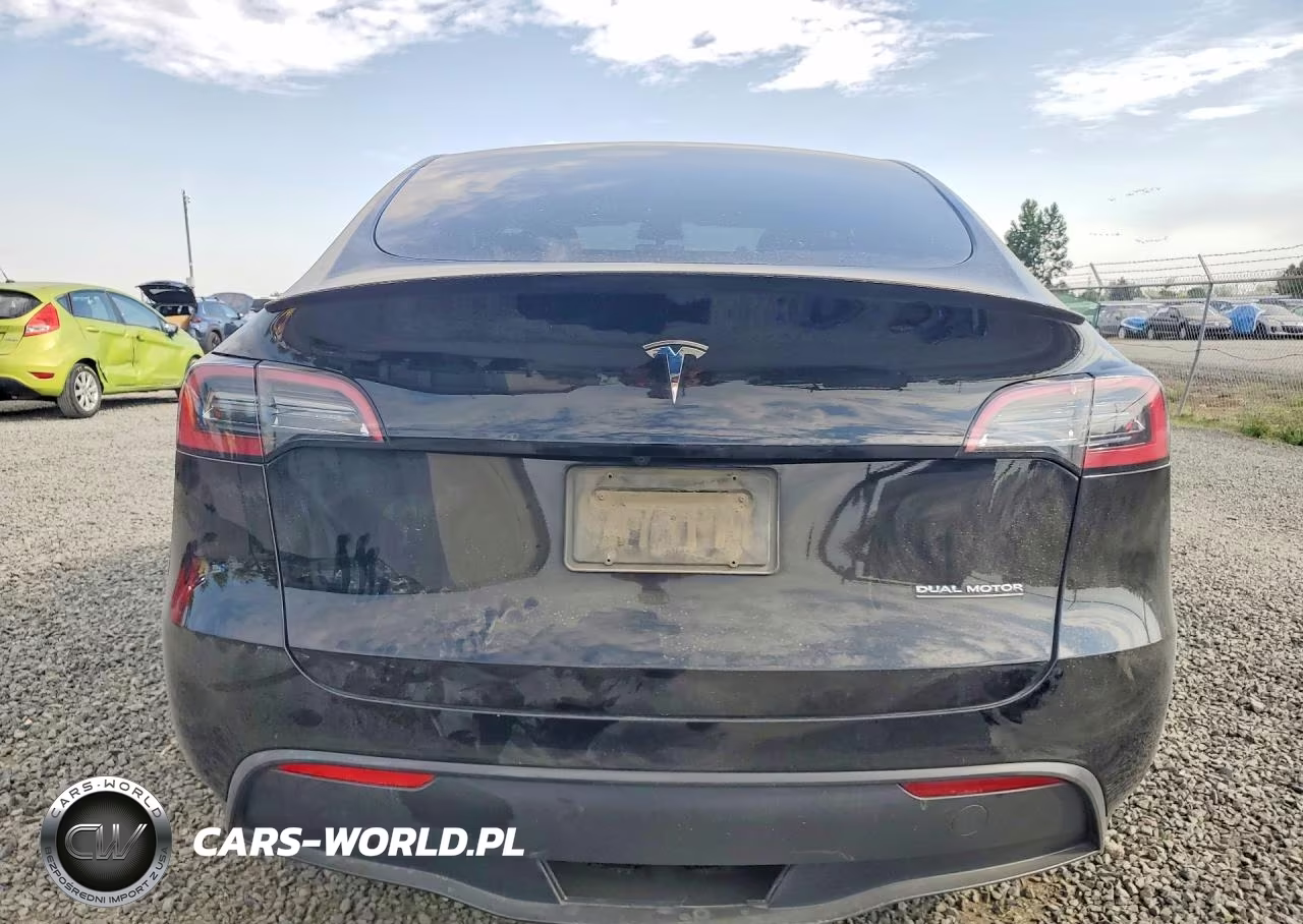 2023 Tesla Model Y VIN:7SAYGDEFXPF773608 - 6