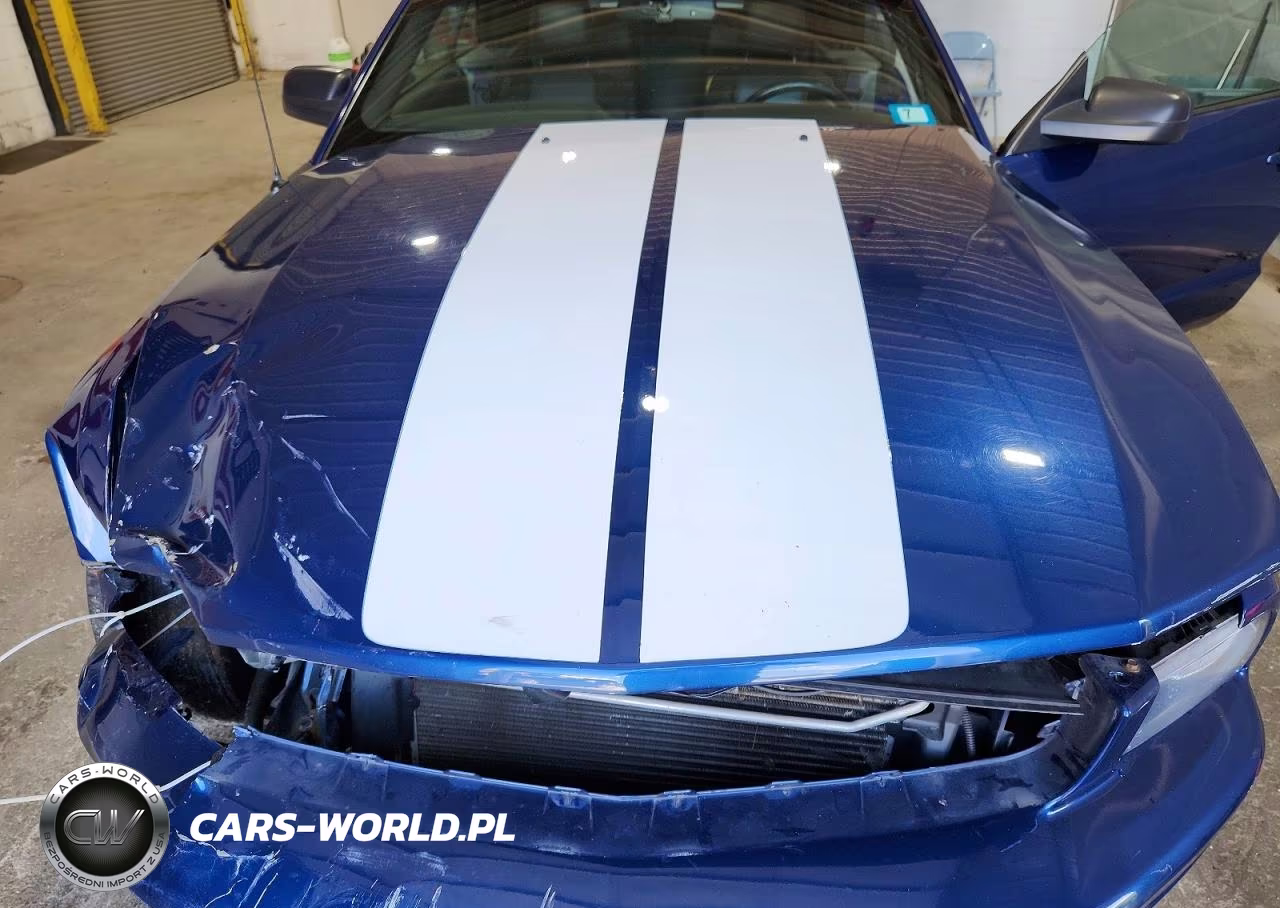 2008 Ford Mustang Gt VIN:1ZVHT85H685154750 - 11