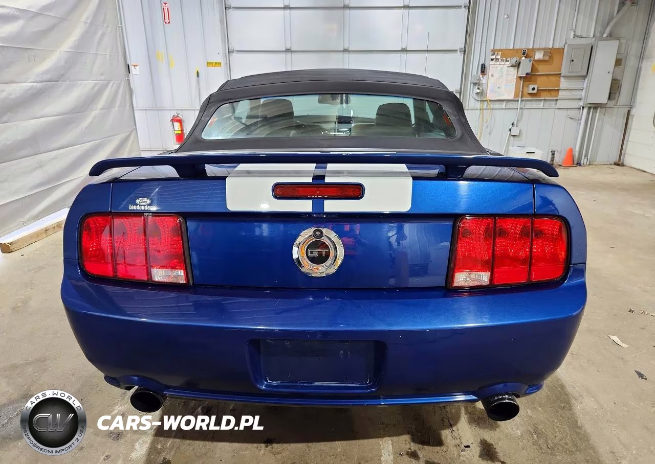 2008 Ford Mustang Gt VIN:1ZVHT85H685154750 - 6