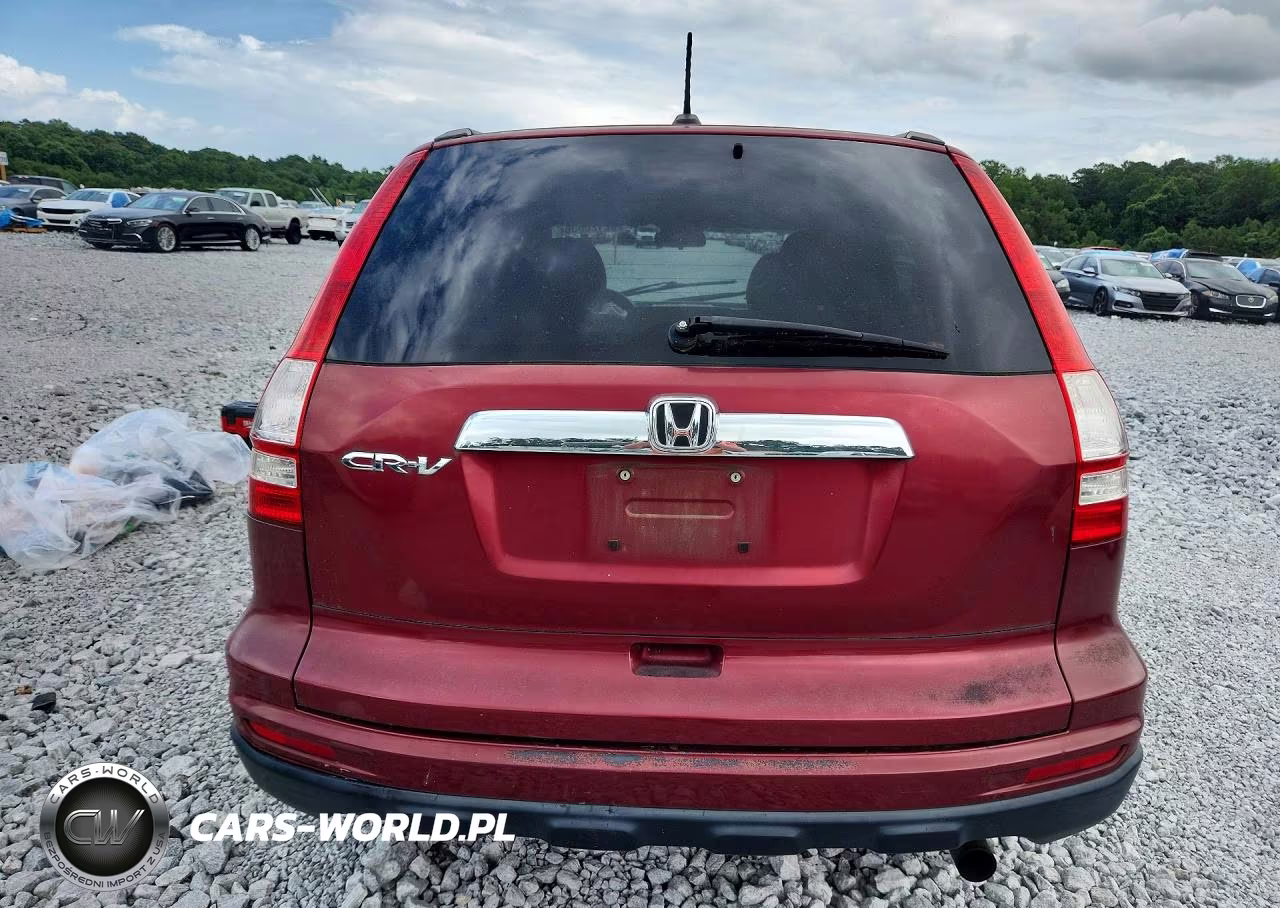 2010 Honda Cr-V Exl VIN:5J6RE3H73AL036951 - 6
