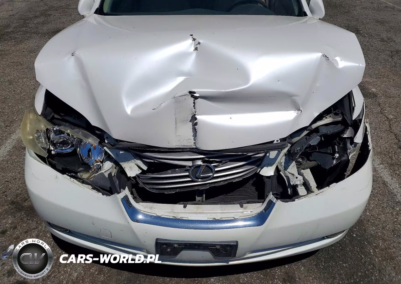 2009 Lexus Es 350 VIN:JTHBJ46G392331933 - 11