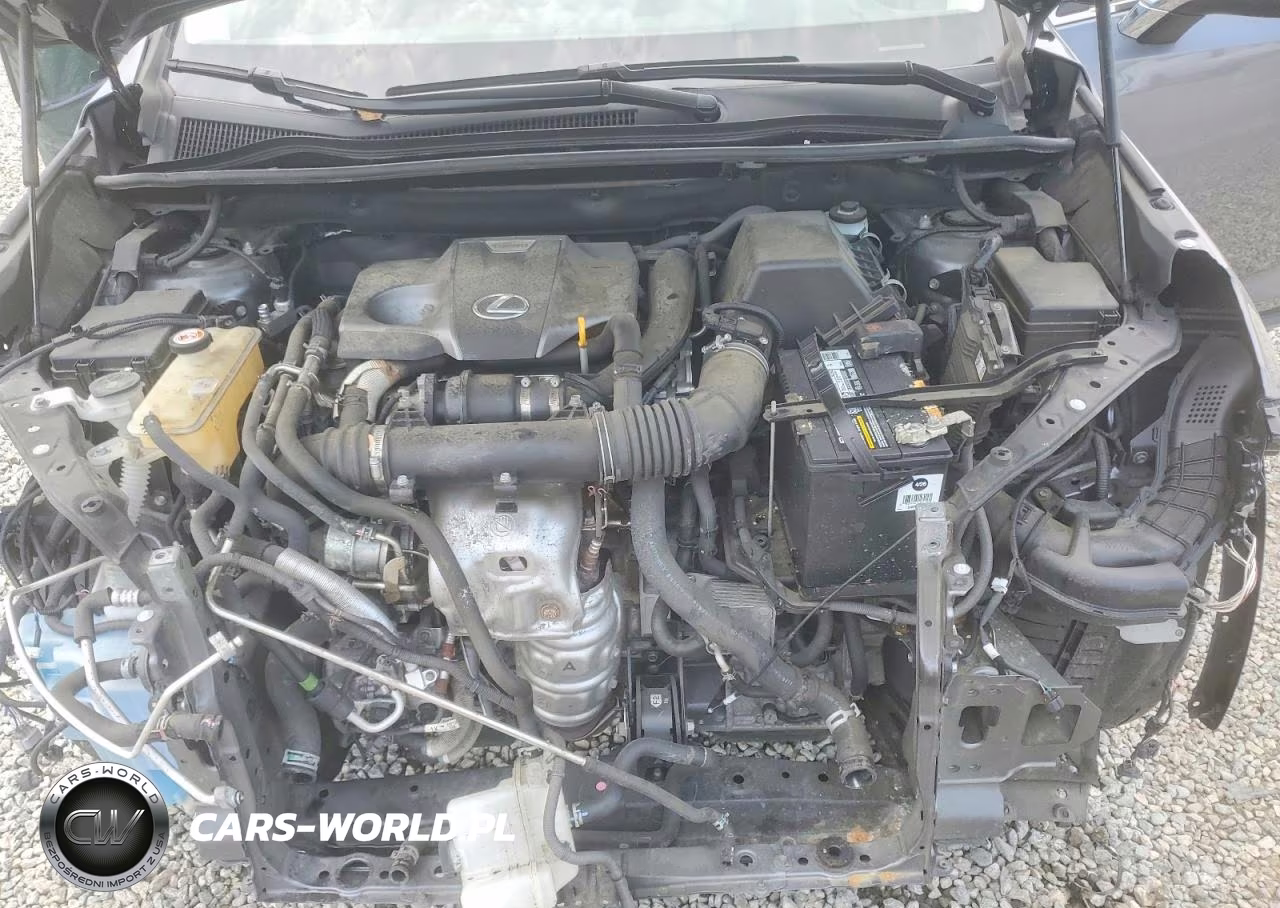 2020 Lexus Nx 300 VIN:JTJGARDZ5L2233290 - 12