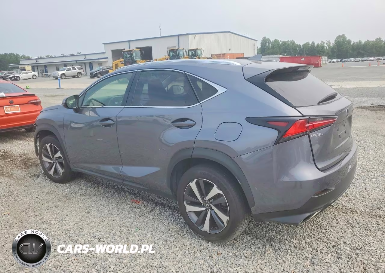 2020 Lexus Nx 300 VIN:JTJGARDZ5L2233290 - 2