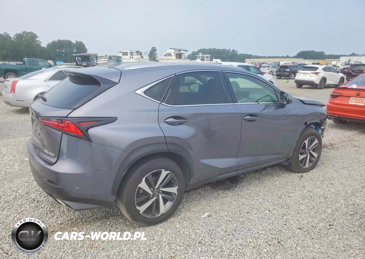 2020 Lexus Nx 300 VIN:JTJGARDZ5L2233290 - 3