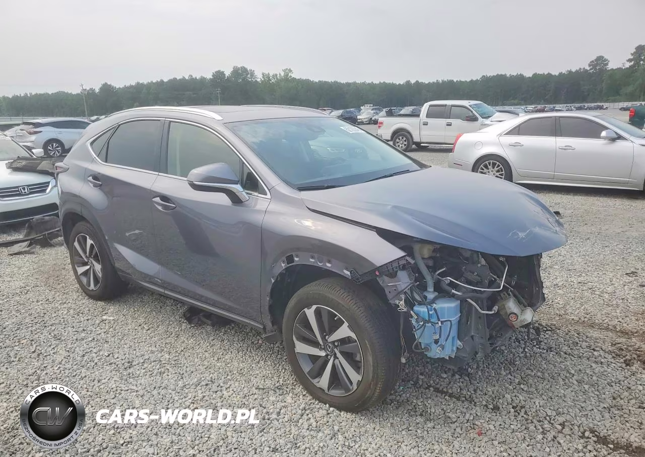2020 Lexus Nx 300 VIN:JTJGARDZ5L2233290 - 4