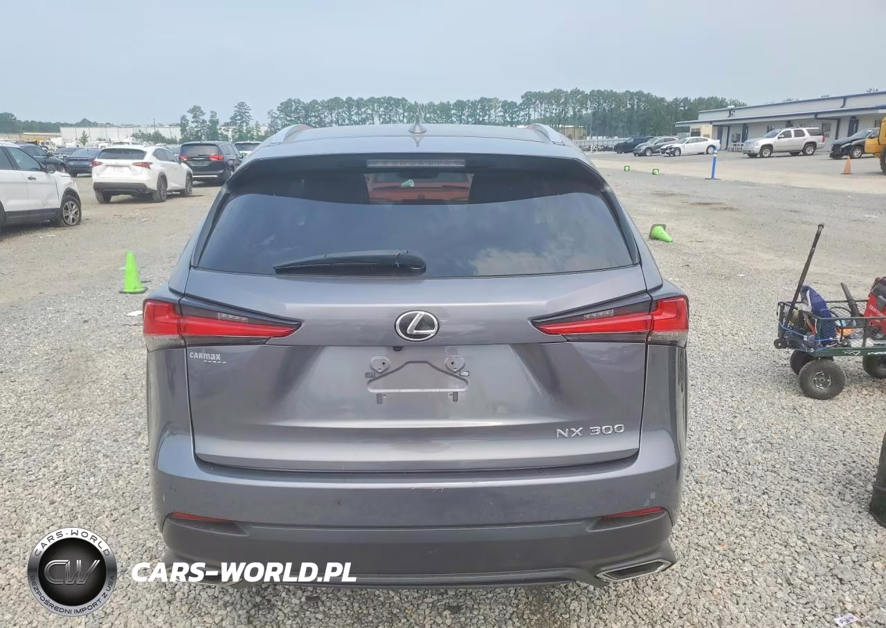 2020 Lexus Nx 300 VIN:JTJGARDZ5L2233290 - 6