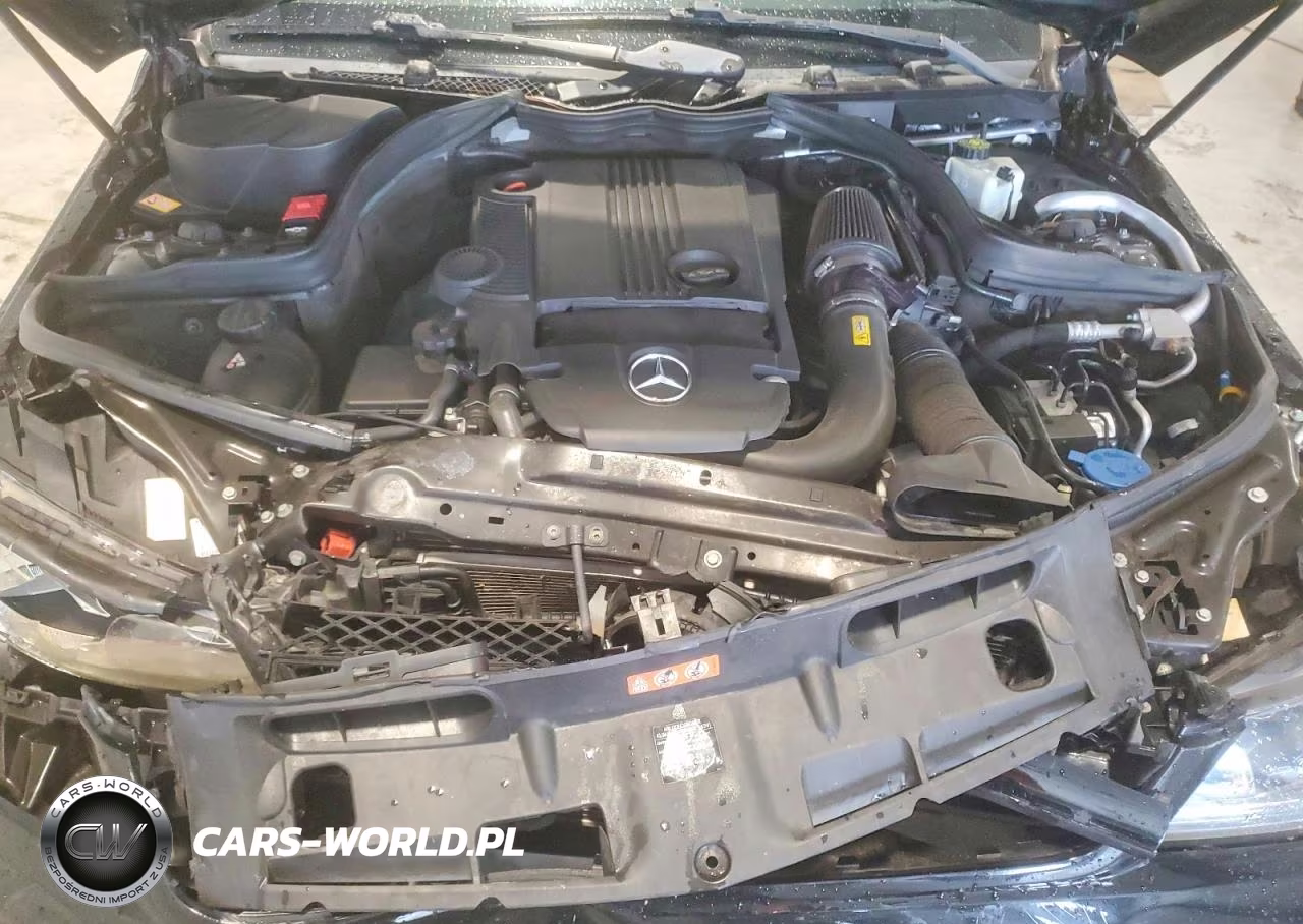 2015 Mercedes-Benz C 250 VIN:WDDGJ4HBXFG389020 - 11