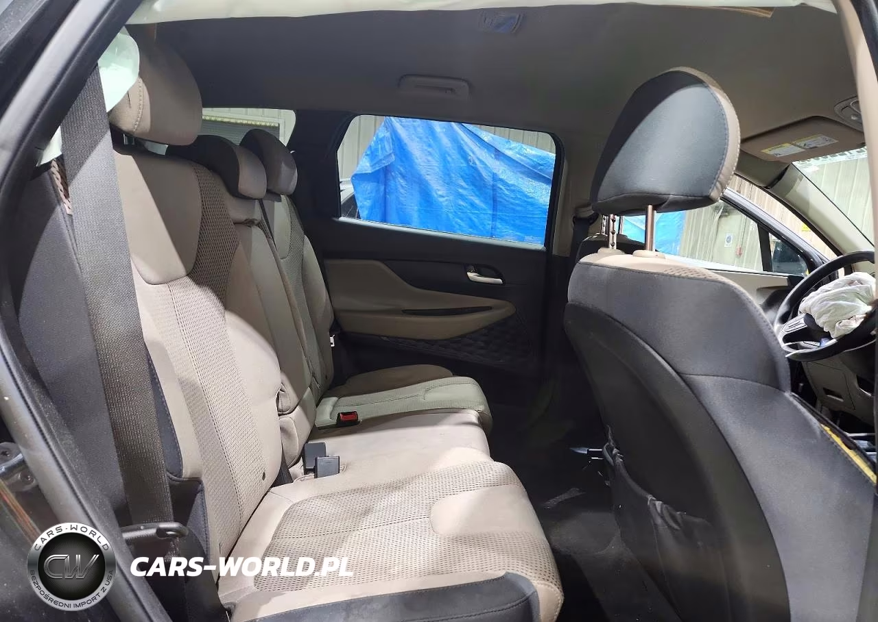 2020 Hyundai Santa Fe Sel VIN:5NMS3CAD3LH181232 - 11
