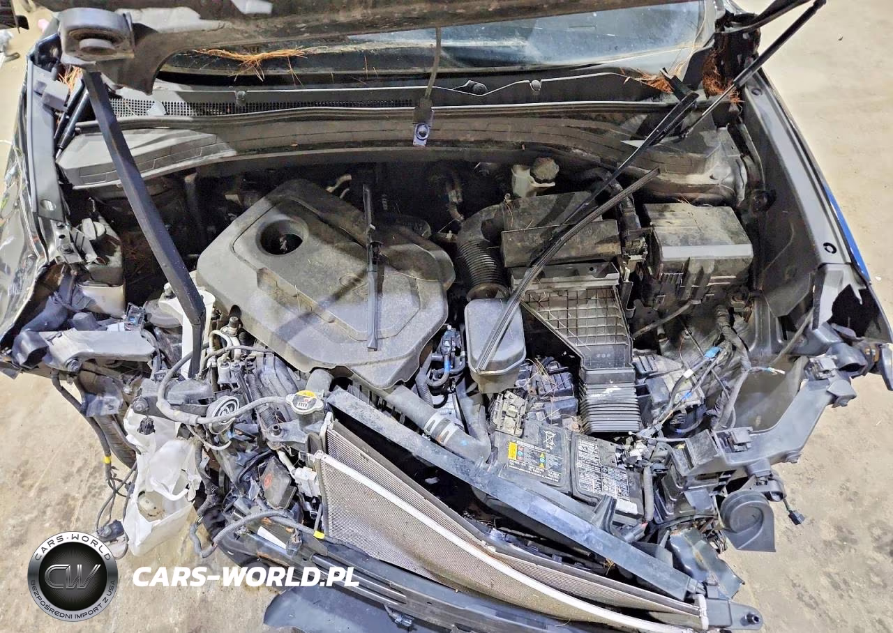 2020 Hyundai Santa Fe Sel VIN:5NMS3CAD3LH181232 - 12