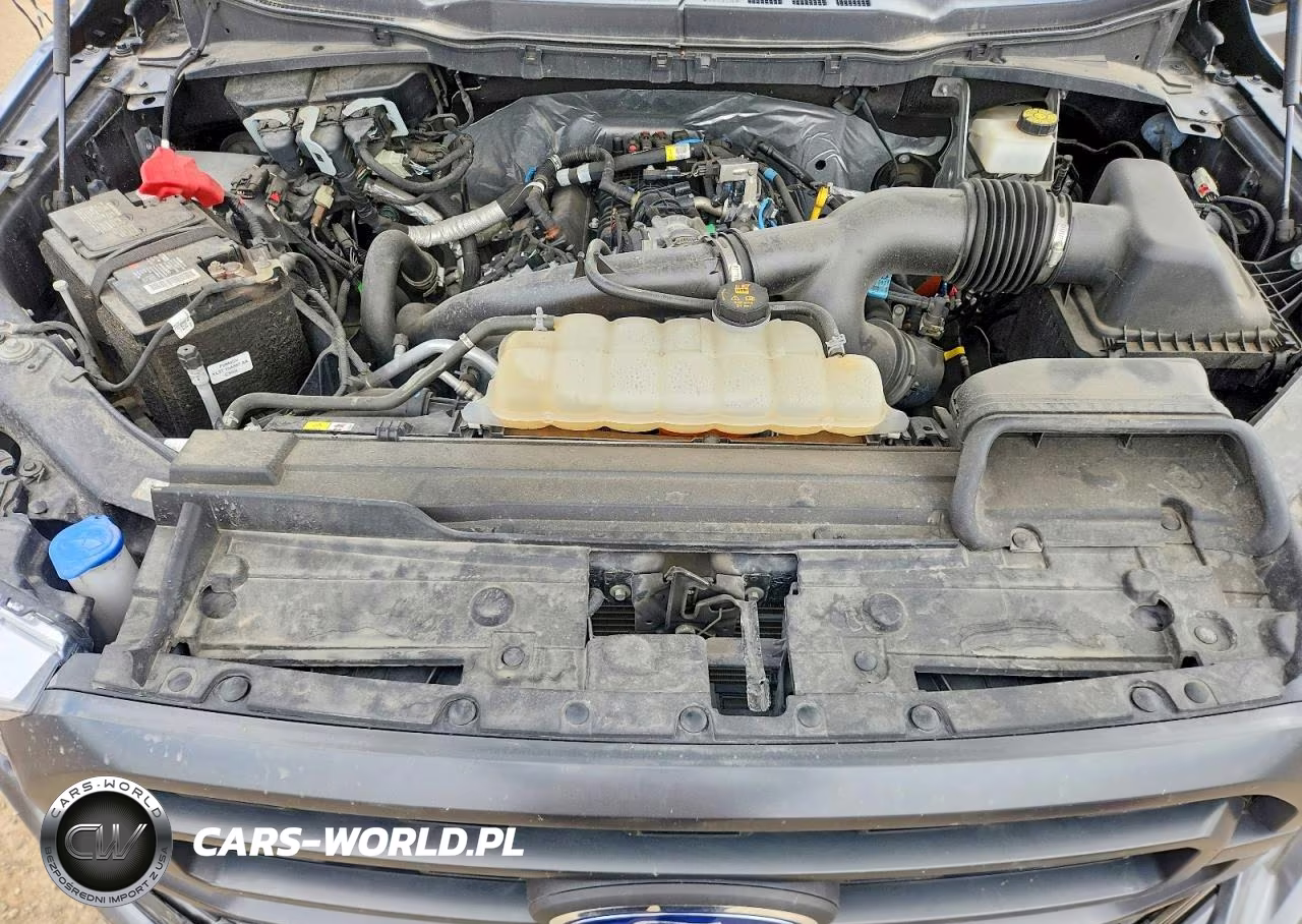 2022 Ford F150 Supercrew VIN:1FTEW1EP3NKD78034 - 11