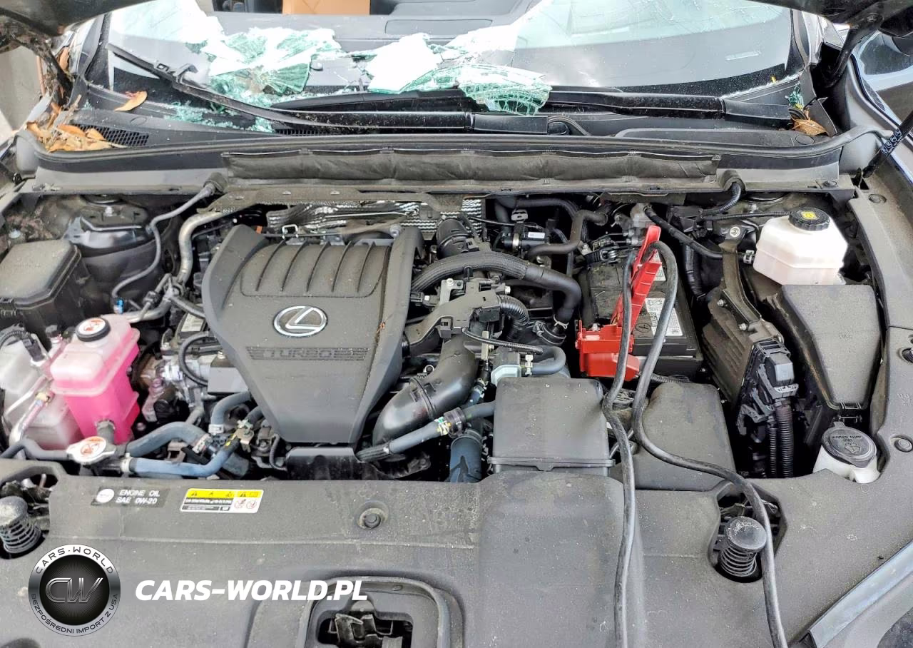 2024 Lexus Rx 350 Premium+ VIN:2T2BAMBA9RC031443 - 12