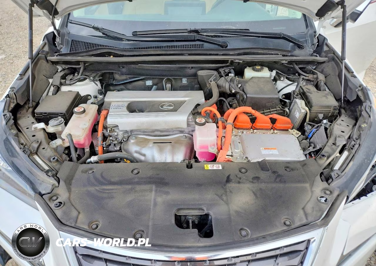 2021 Lexus Nx 300H Base VIN:JTJGJRDZXM5012266 - 11
