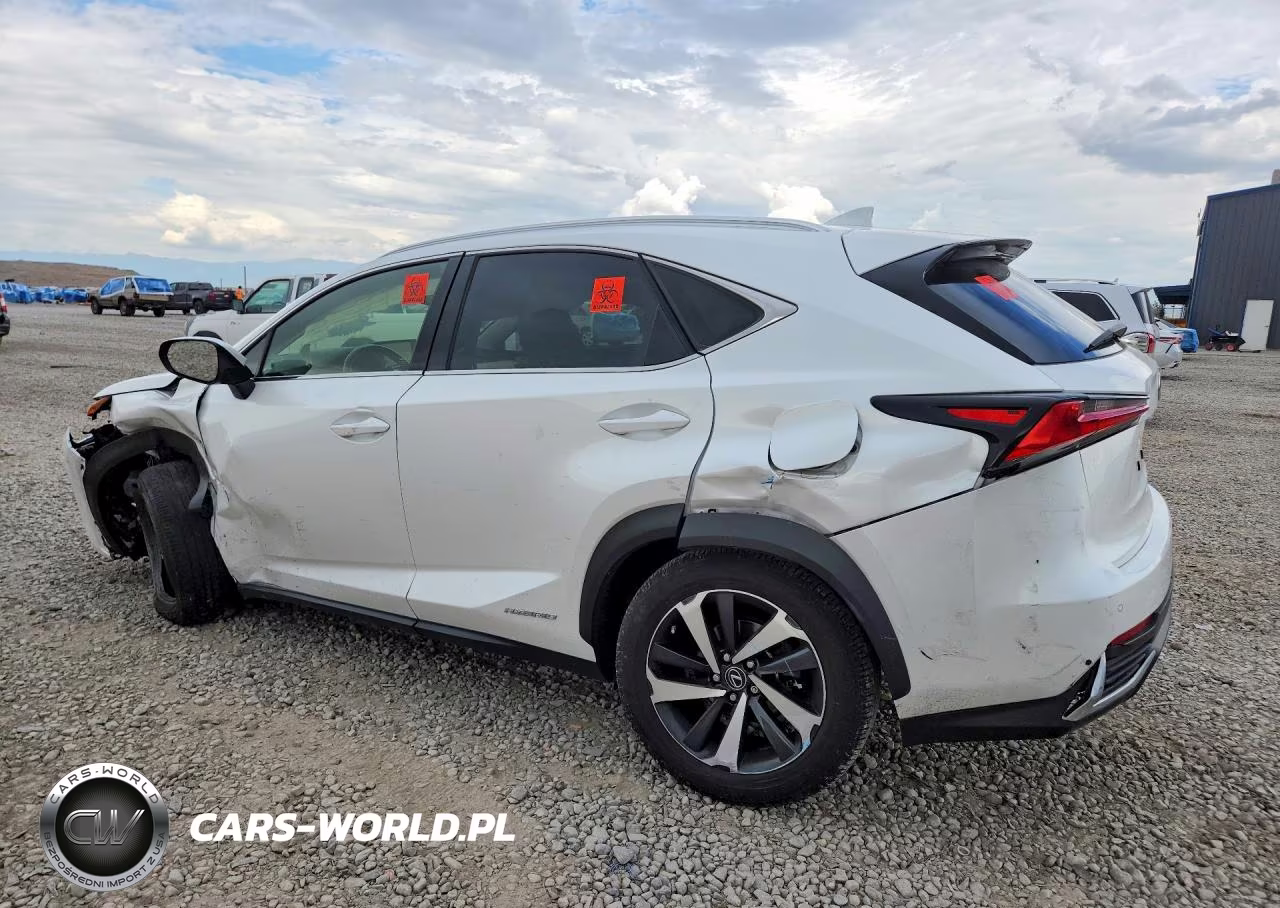 2021 Lexus Nx 300H Base VIN:JTJGJRDZXM5012266 - 2