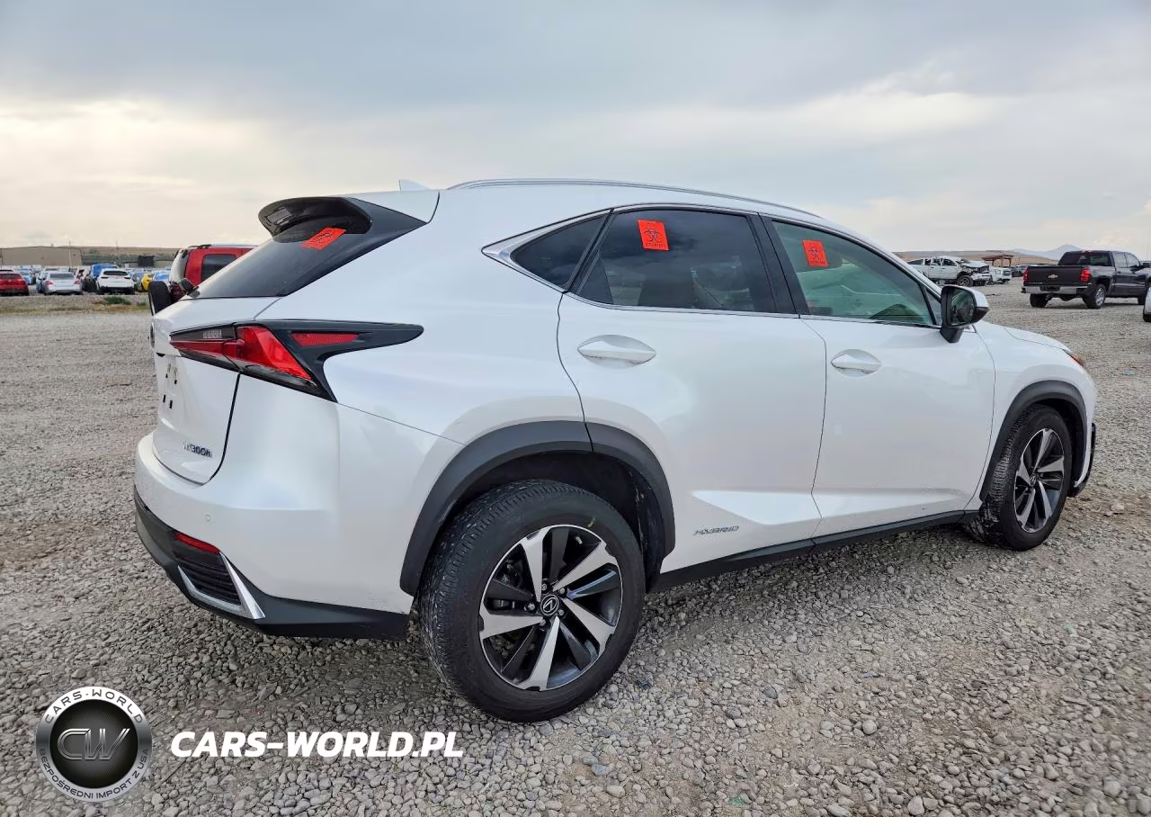2021 Lexus Nx 300H Base VIN:JTJGJRDZXM5012266 - 3